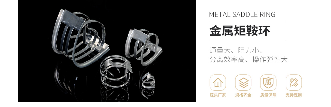 金屬矩鞍環(huán)1300_01.jpg