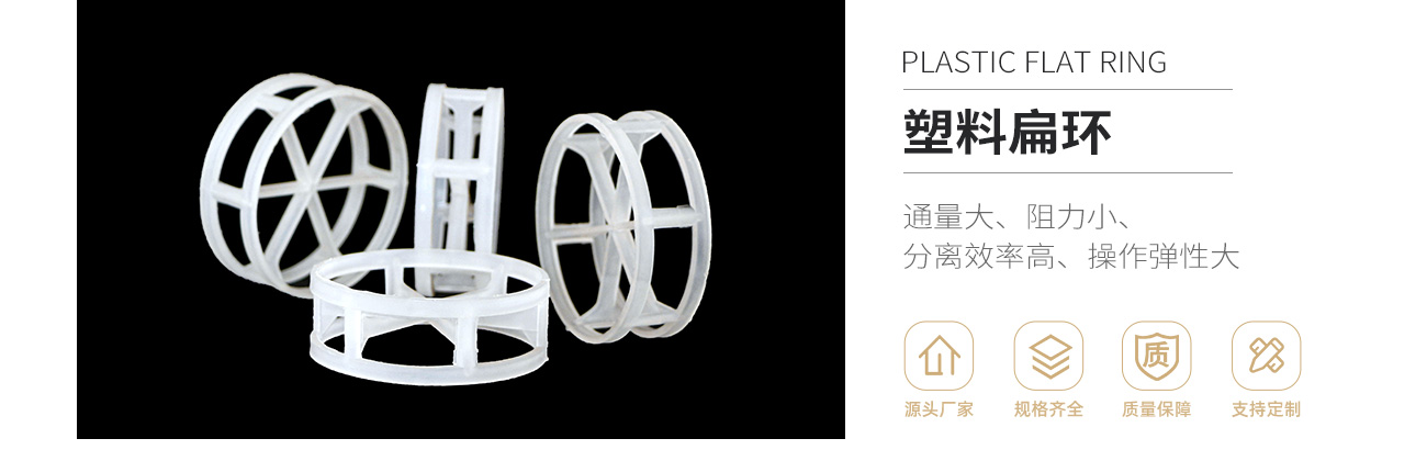塑料扁環(huán)1300_01.jpg